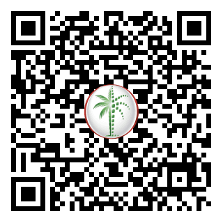 DLD QR Code