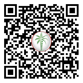 DLD QR Code