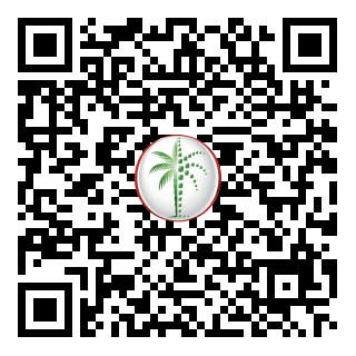 DLD QR Code