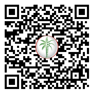 DLD QR Code