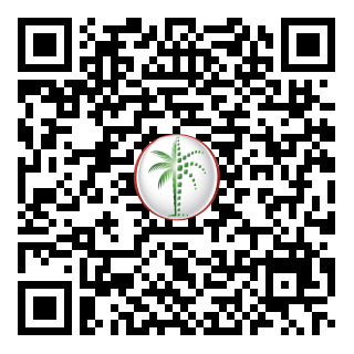 DLD QR Code