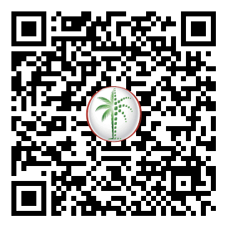 DLD QR Code