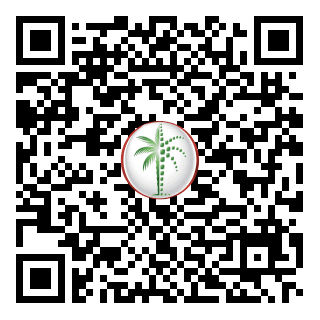 DLD QR Code