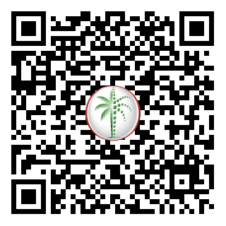 DLD QR Code