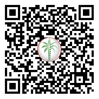 DLD QR Code