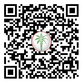 DLD QR Code