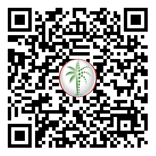 DLD QR Code