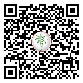 DLD QR Code