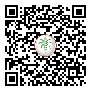 DLD QR Code