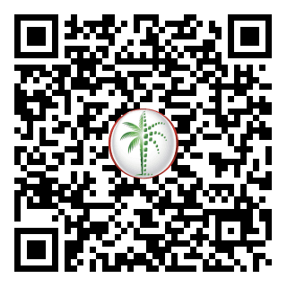DLD QR Code