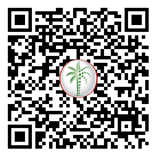 DLD QR Code