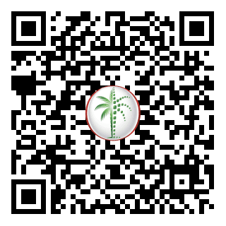 DLD QR Code