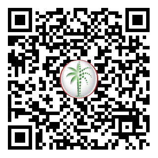 DLD QR Code