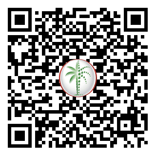 DLD QR Code