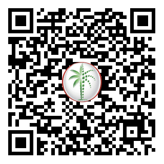 DLD QR Code