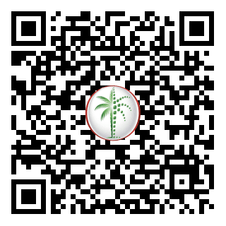 DLD QR Code